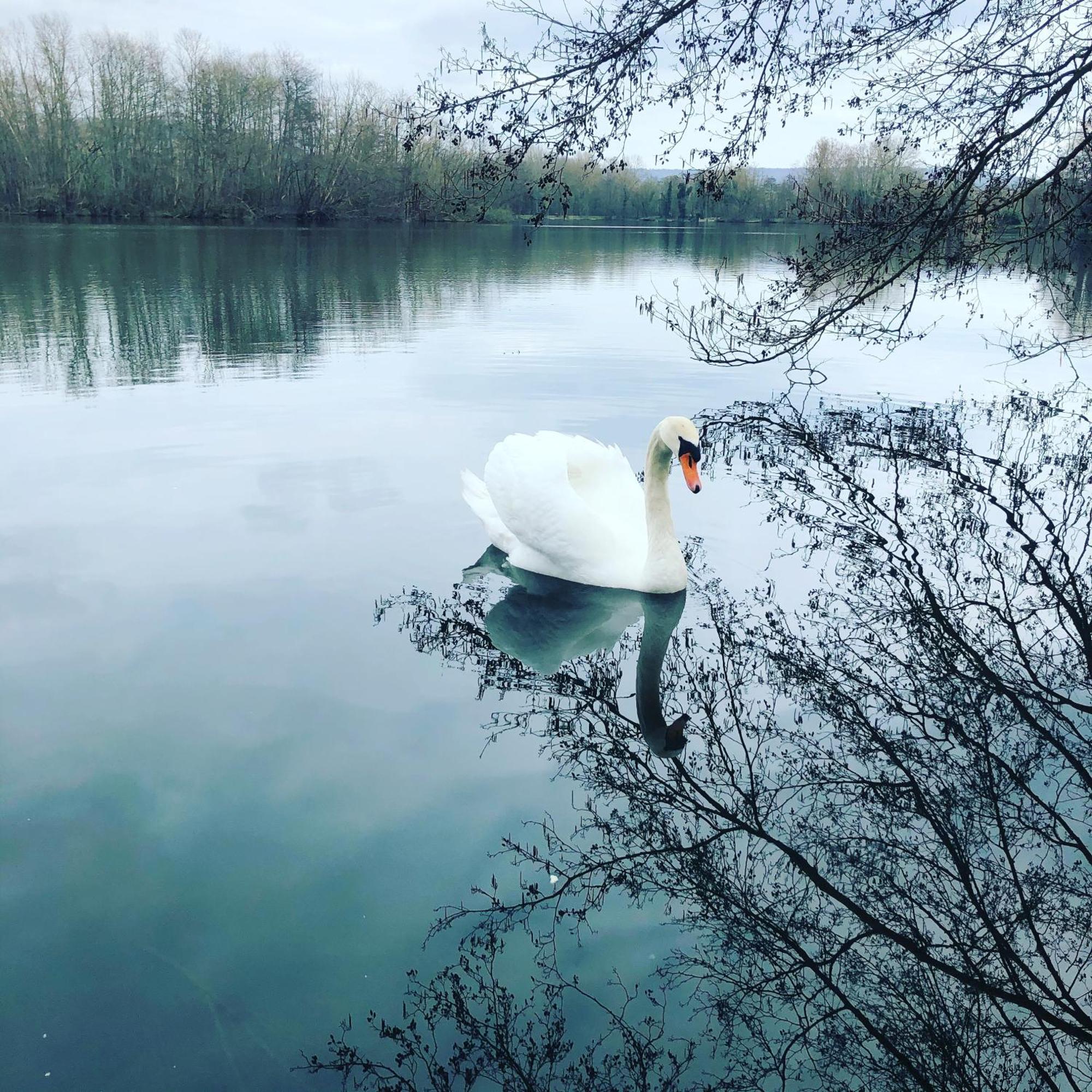 Gite De La Cote A Autreville Sur Moselle Экстерьер фото